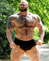 manly muscular men - the sexiness