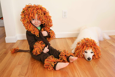 ChemKnits: Lucky's Lion Hoodie