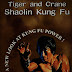 TIGER AND CRANE SHAOLIN KUNG FU