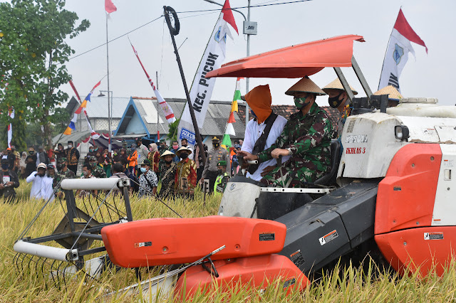 Pangdam V/Brawijaya Panen Raya di Lamongan