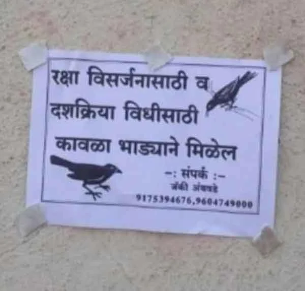 News, National, India, Mumbai, Maharashtra, Poster, Crows for hire, posters in Maharashtra are making a splash on social media