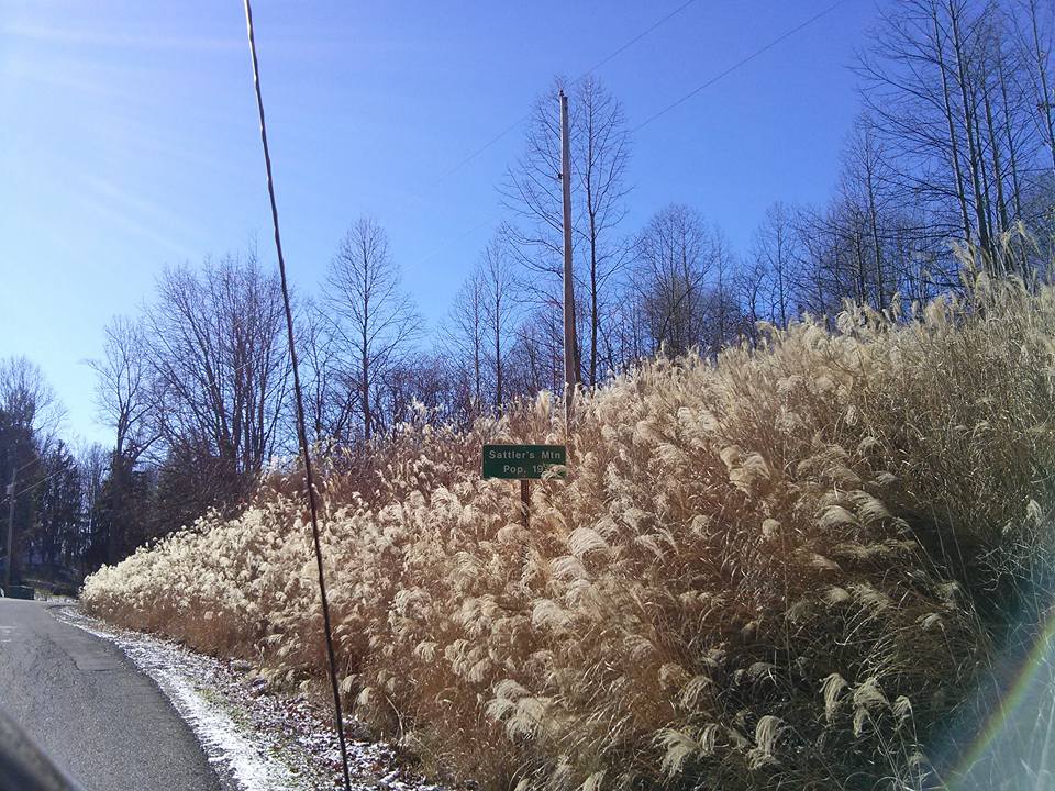 Granny Sue's News and Reviews A Trip to a Troubled Place