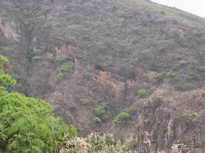 Cueva de los murciélagos desde la Sierra del Tecuán También se pueden ver desde el Sendero La Angostura