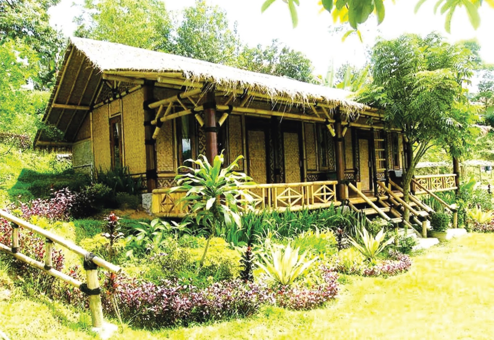 Paddessa S Maison Resort Pancawati Villa And Resort