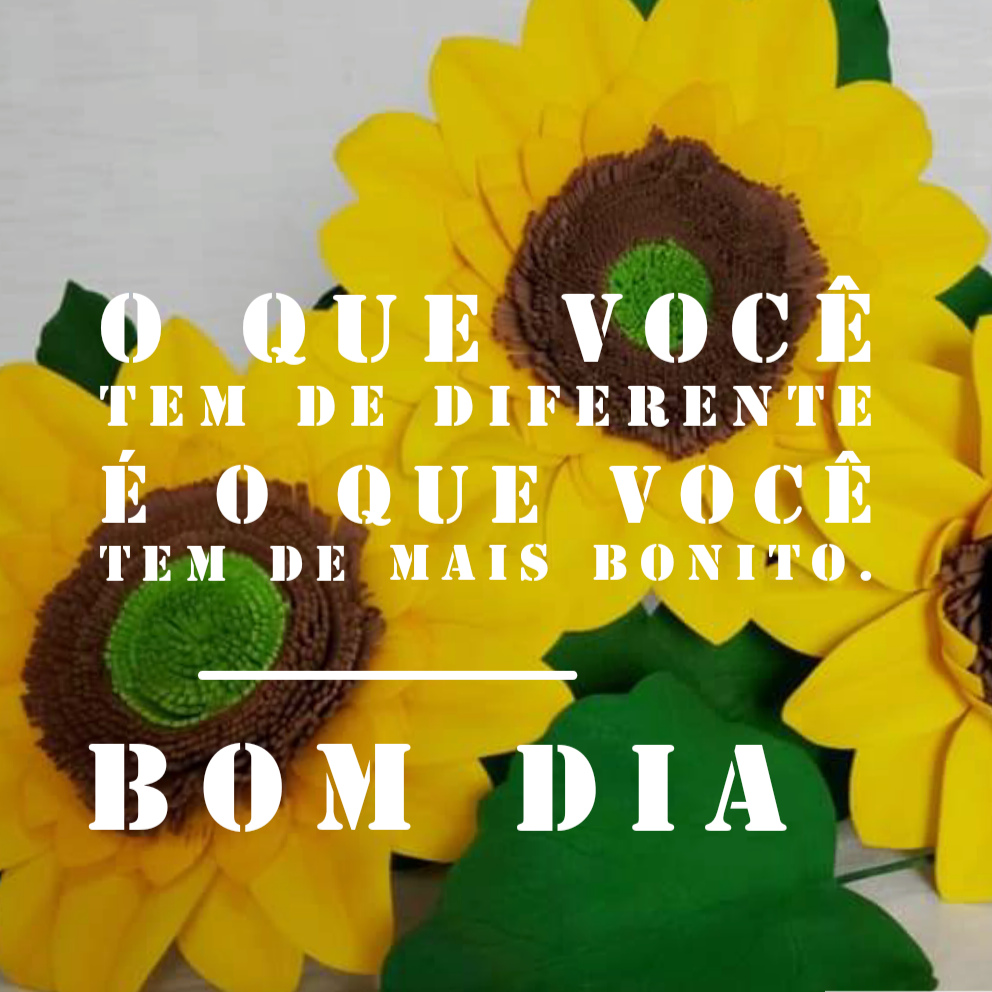 Bom dia com flores: 8 frases para compartilhar - Ver e Fazer