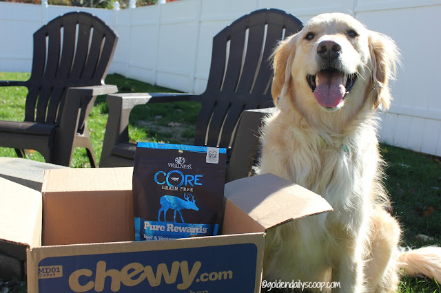Wellness CORE Grain-Free Jerky Bites #ChewyInfluencer healthy and grain-free dog treats review