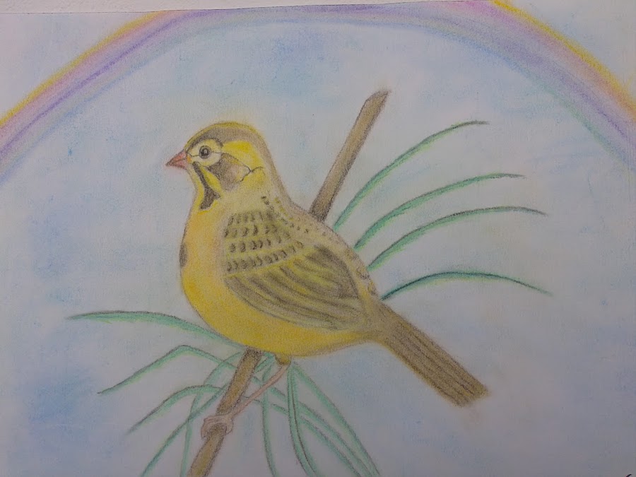 dibujo con tizas pastel