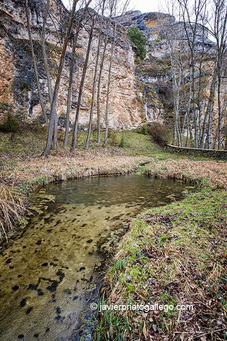 El Manadero. Lugar donde nace el río Aguisejo. Grado del Pico. Comarca de Ayllón. Segovia. Castilla y León. España. © Javier Prieto Gallego