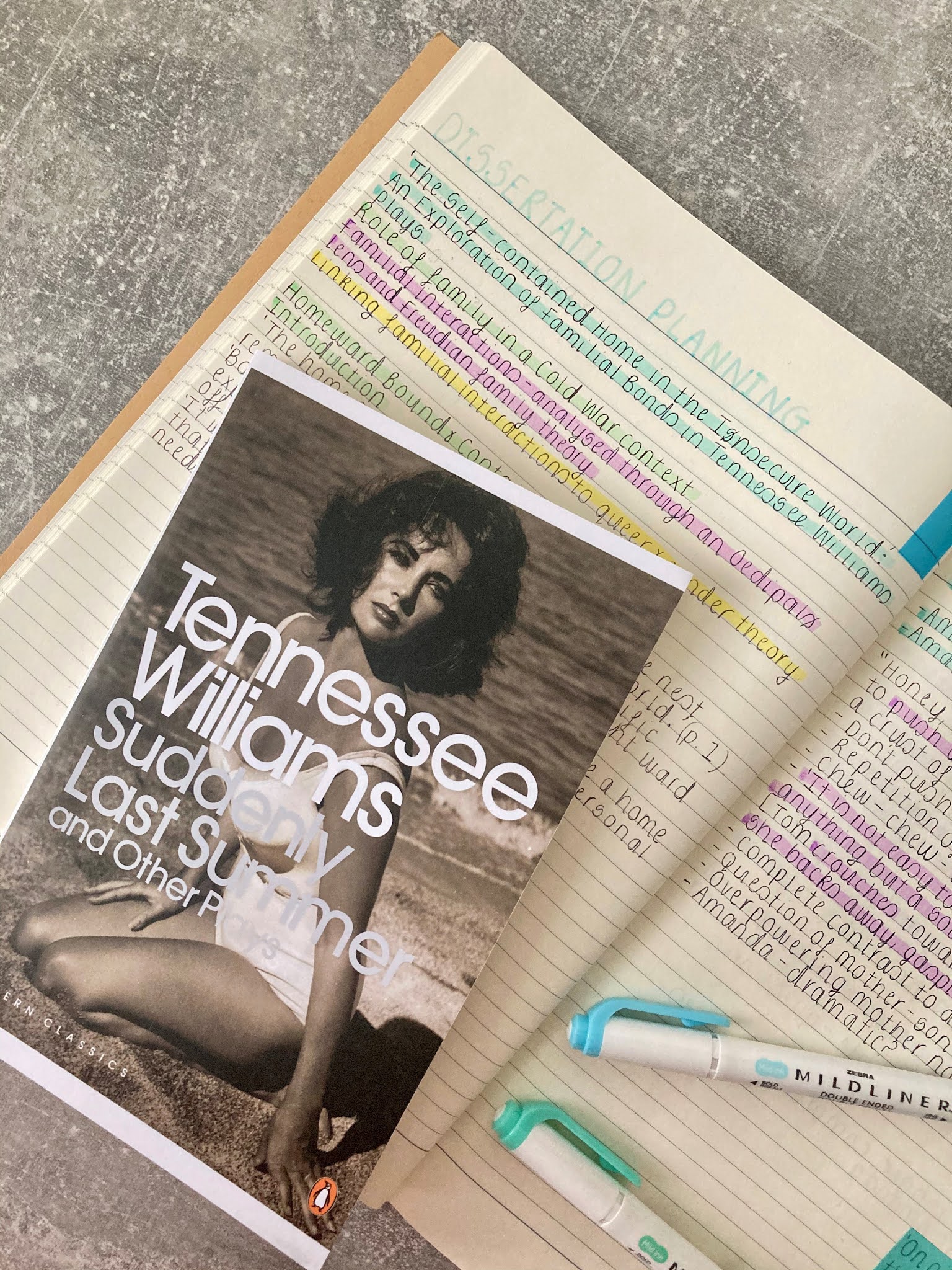 Salameh thesis georgia 07 picture