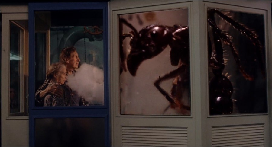 O IMPÉRIO DAS FORMIGAS / O ATAQUE DAS FORMIGAS GIGANTES (DUAL ÁUDIO/1080P) – 1977 FormatFactoryO%2BAtaque%2Bdas%2BFormigas%2BGigantes%2B-%2B1977%2B-%2B1080p.mkv_4