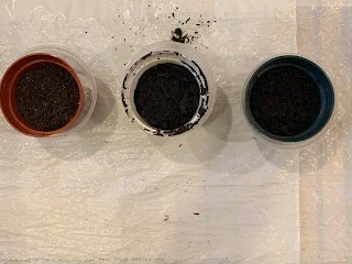 Orange container:Good soil