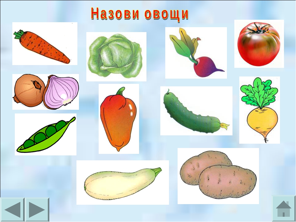 Овощи первая младшая группа. Овощи для детей. Овощи для дошкольников. Овощи для детей дошкольного возраста. Овощи и фрукты для дошкольников.