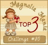Top 3 Magnolia Mania