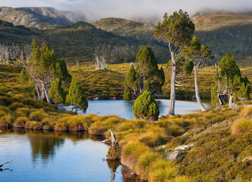 Cradle Mountain-lake St Clair National Park Tasmania Australia 5