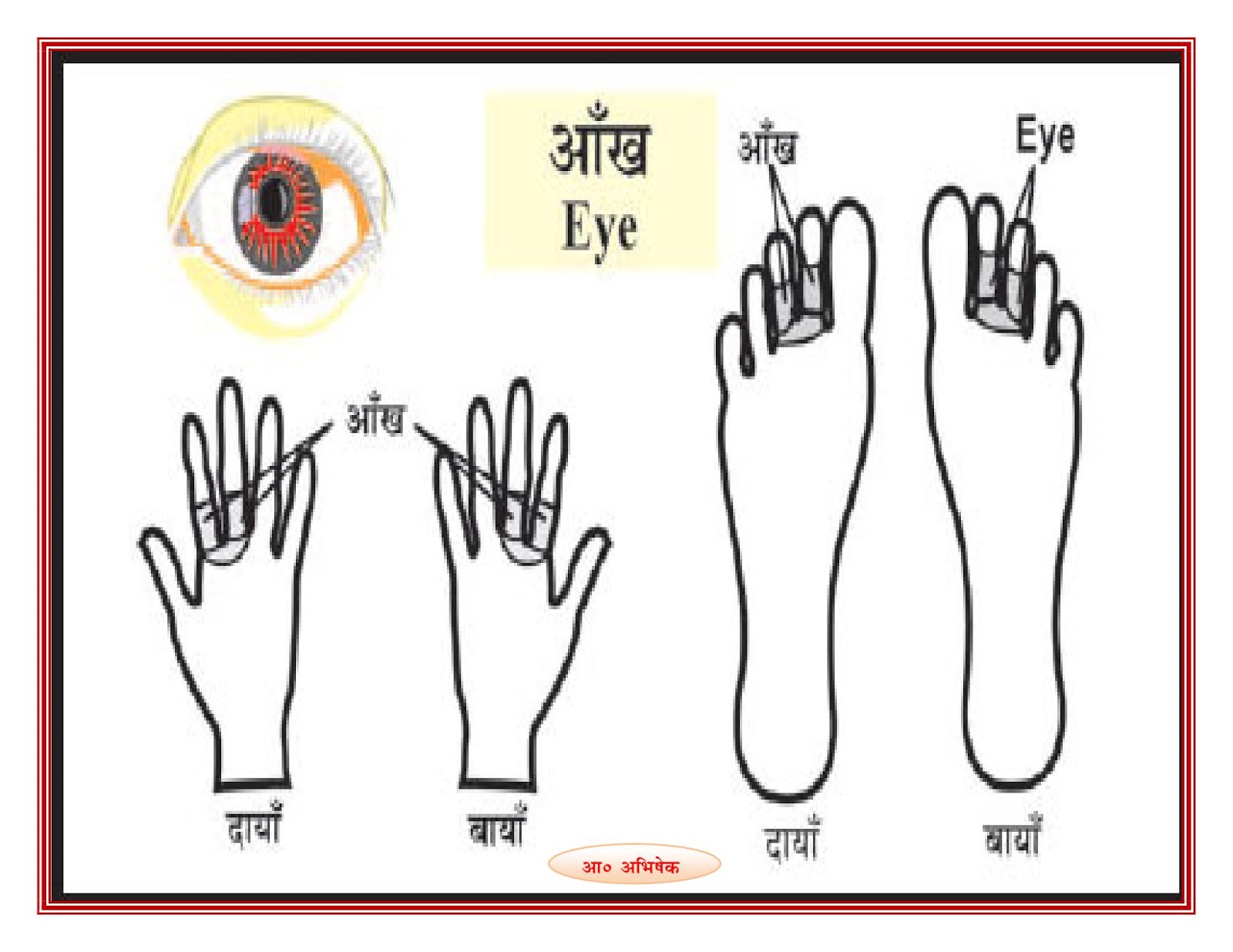 Acupressure Point For Improve Eyesight, Eye (आंख, दृष्टि में सुधार के