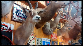 Taxidermy in Wallace, Idaho