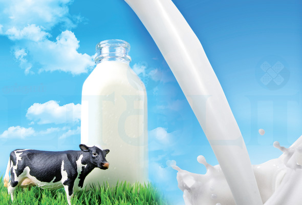 Milk Politics