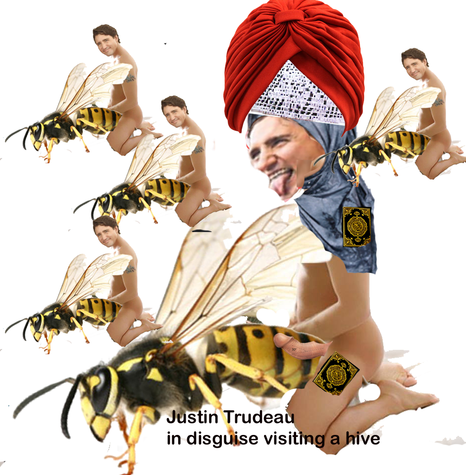 DISCUSSIONS-CANADA-OPINIONS-QUEBEC - English: Justin Trudeau's Danger to the public, political ...