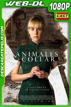 Animales sin collar (2018) 1080p WEB-DL Castellano