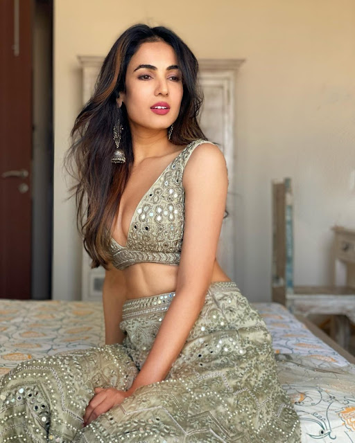 Sonal Chauhan (Indian Actress) Biography, Wiki, Age, Height, Family, Career, Awards, and Many More