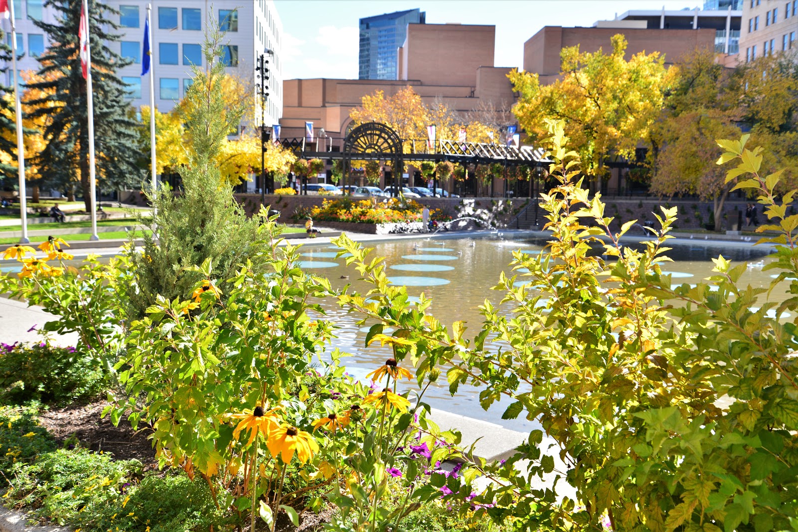 Discover Calgary's Best Gardens and Flower Walks Play Outside Guide
