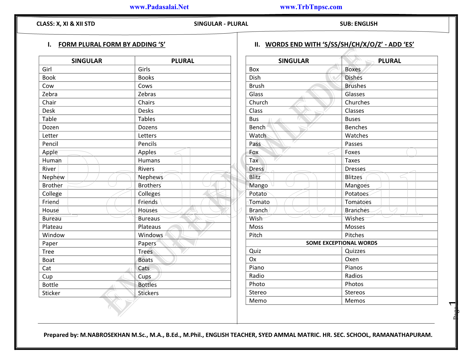 10th English Singular Plural Study Material No.1