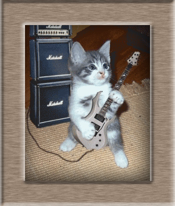 dokter-hewan-klinik-martopo