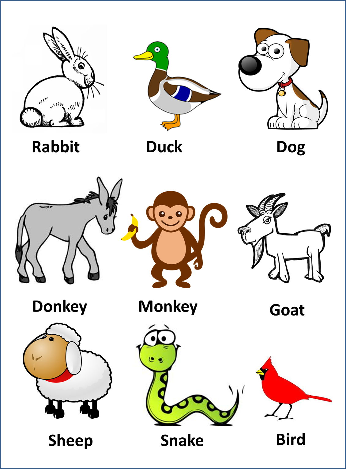ENGLISH CARE LOS ANIMALES EN INGLES