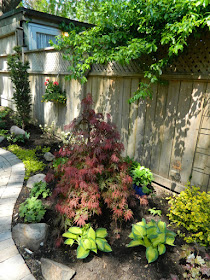 Cabbagetown garden makeover after by Paul Jung Toronto Gardening Services