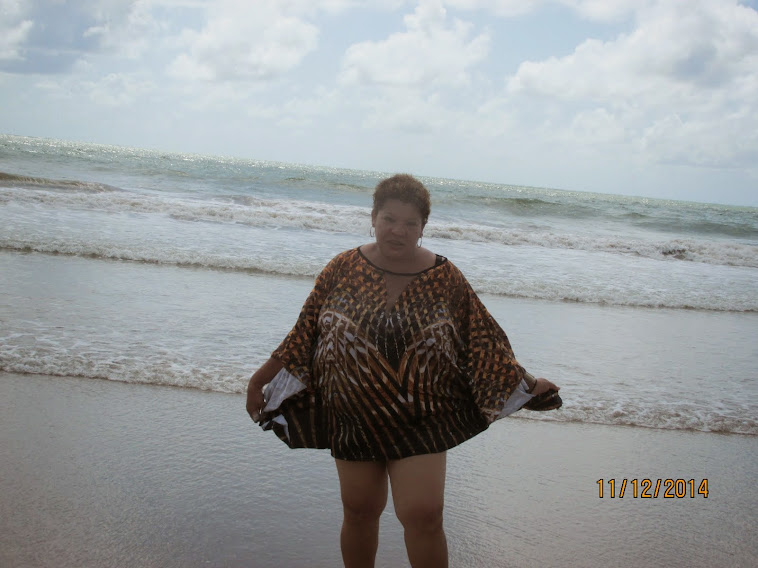 IN RECIFE-PE > PRAIA DE BOA VIAGEM > 2014