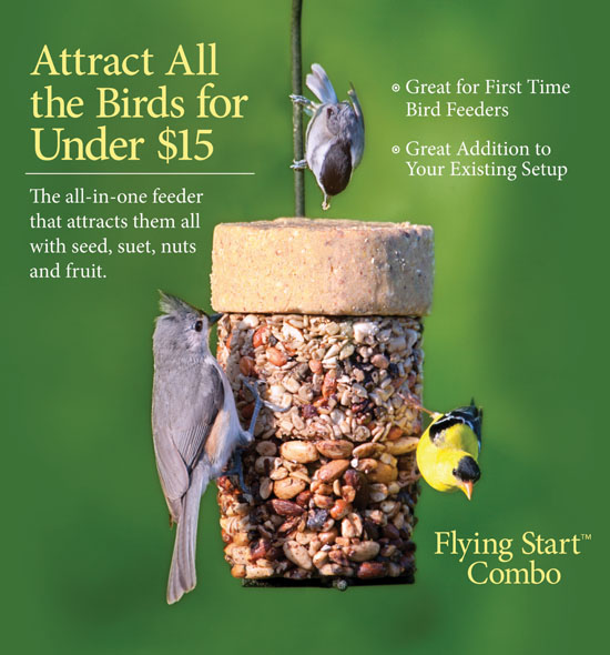 аэрошоу ночное свечение в клину. летающий армянин. Cd start. старт логотип. плакаты в иллюстраторе.