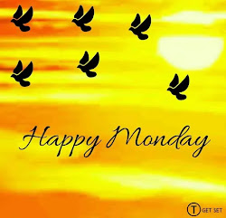 monday morning bird fly sky happy