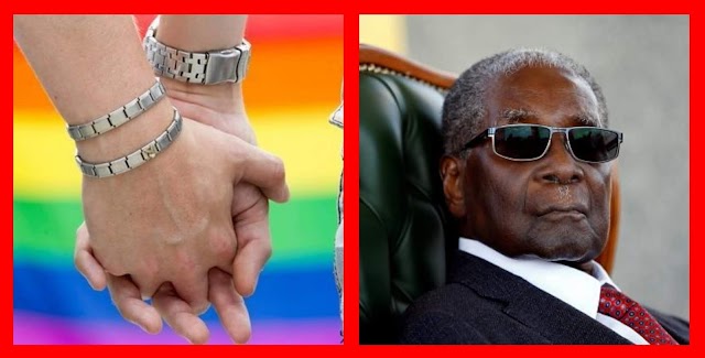 رئيس زيمبابوي يعد بالإفراج عن شابَيْن مثلييْن عندما "يحبل" أحدهما