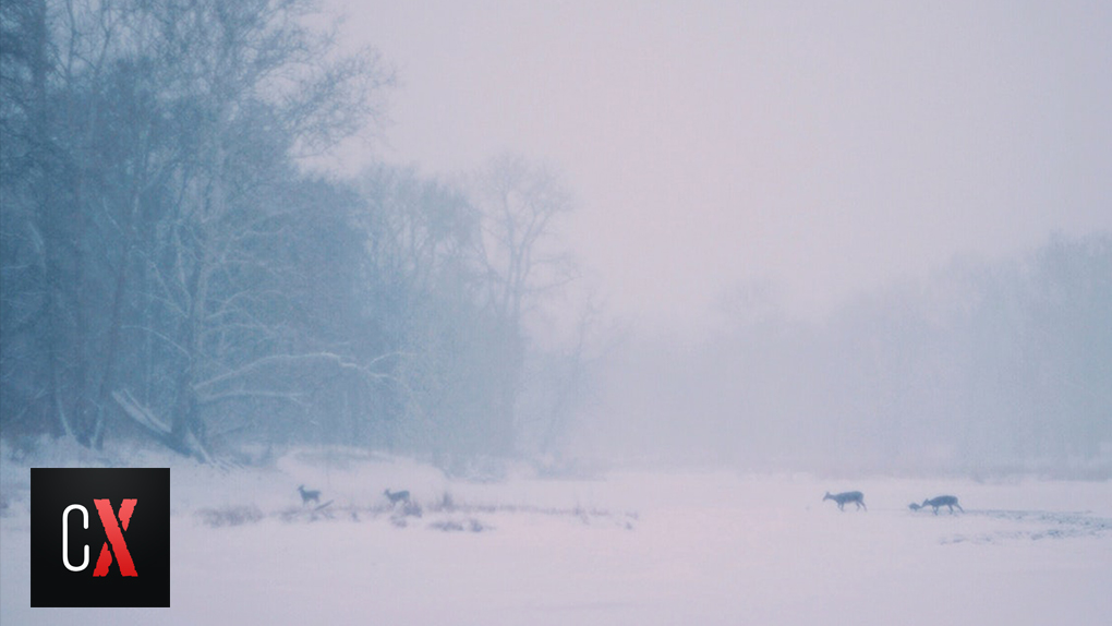 Of Shepherds and Snow and the Real Date of Christ's Birth Controversy