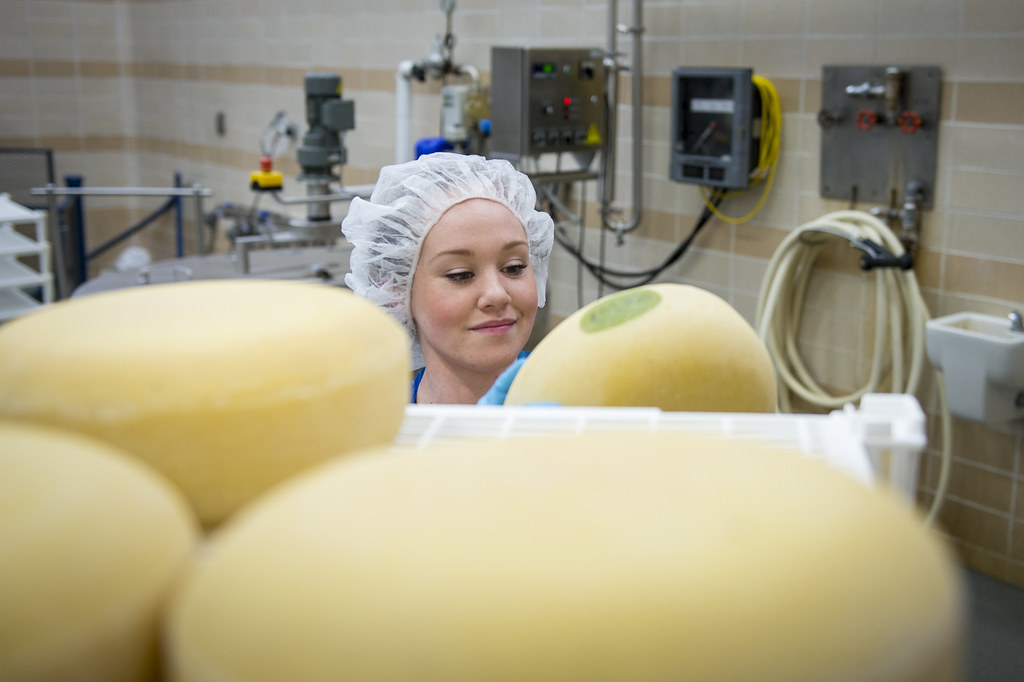 jobs after bsc food science