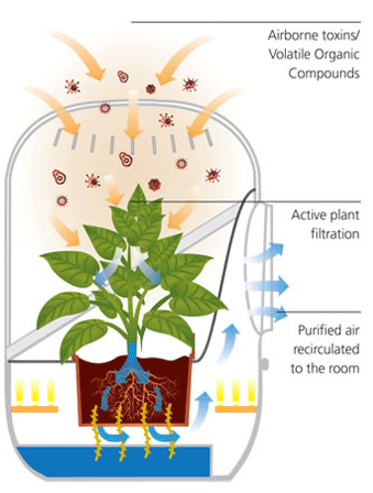 Air purifier goes green