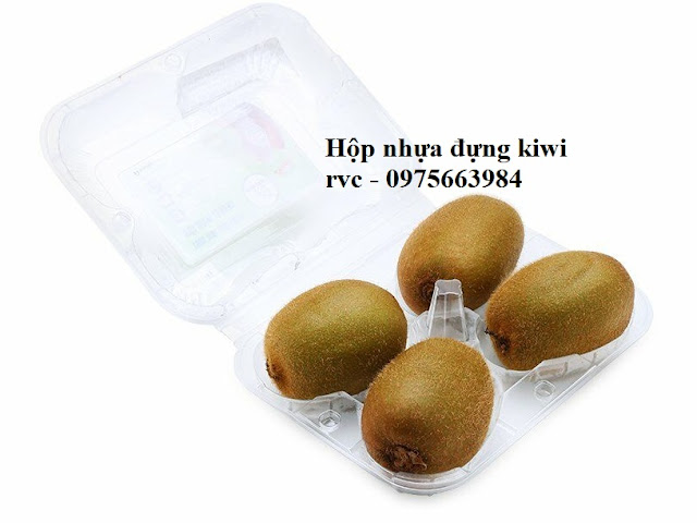 Công ty bán hộp nhựa đựng 4 quả kiwi rẻ nhất TP.HCM