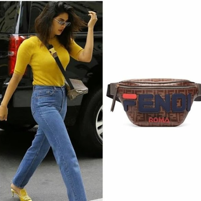 Priyanka Chopra Carrying a Fendi Bag