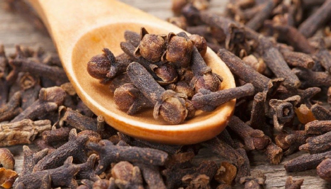 clove bud oil essentialS how to make benefits toothache oil price