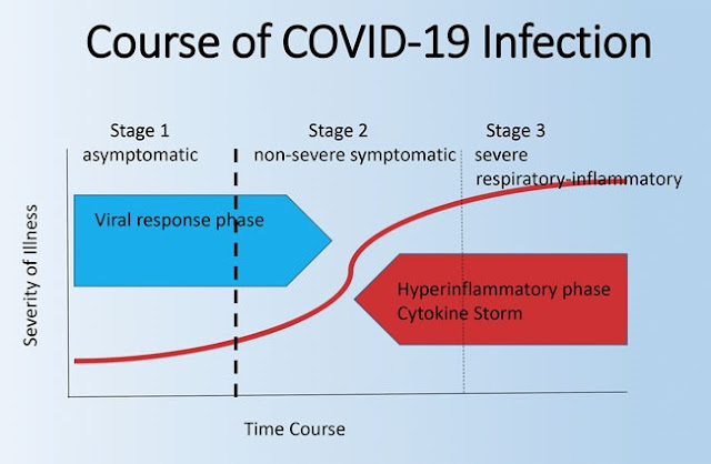 cytokine storm and COVID-19