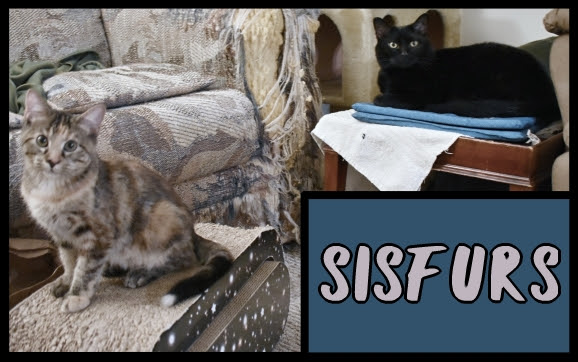 Sisfurs