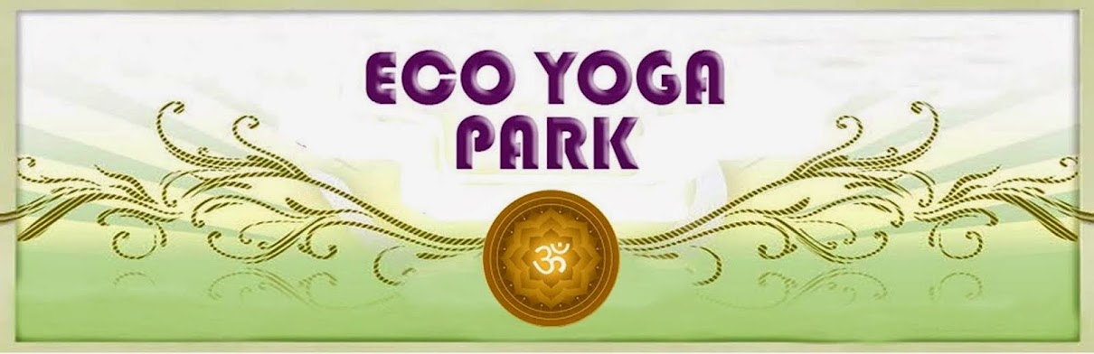 Eco Yoga Park Chile