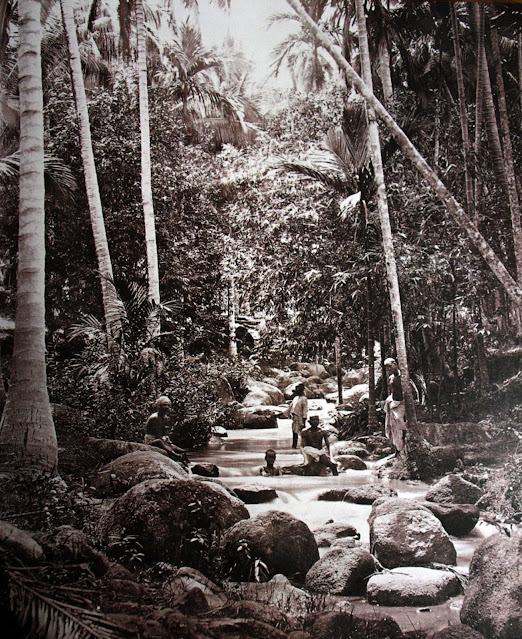 A cascading stream near the Waterfall Garden (now Penang Botanic Gardens), c. 1867