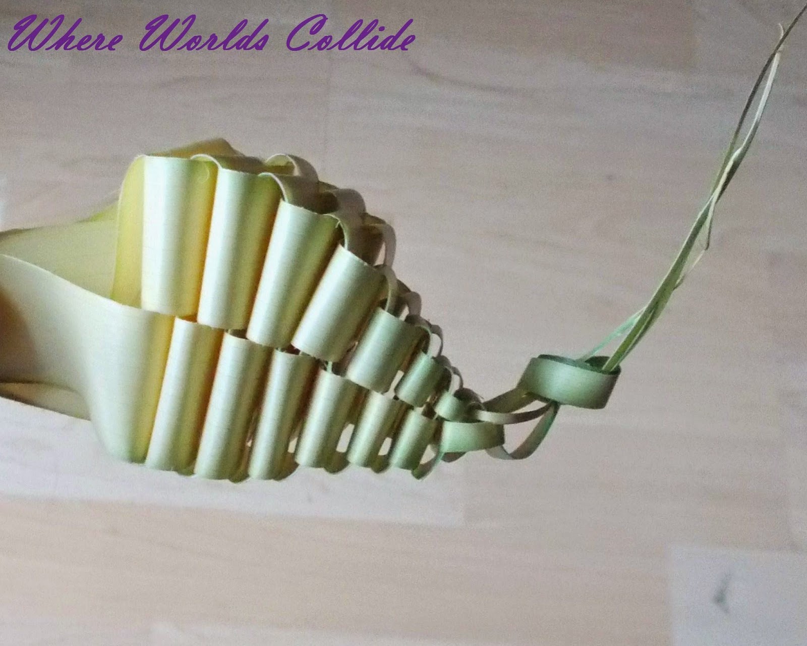 Where Worlds Collide Palm Weaving