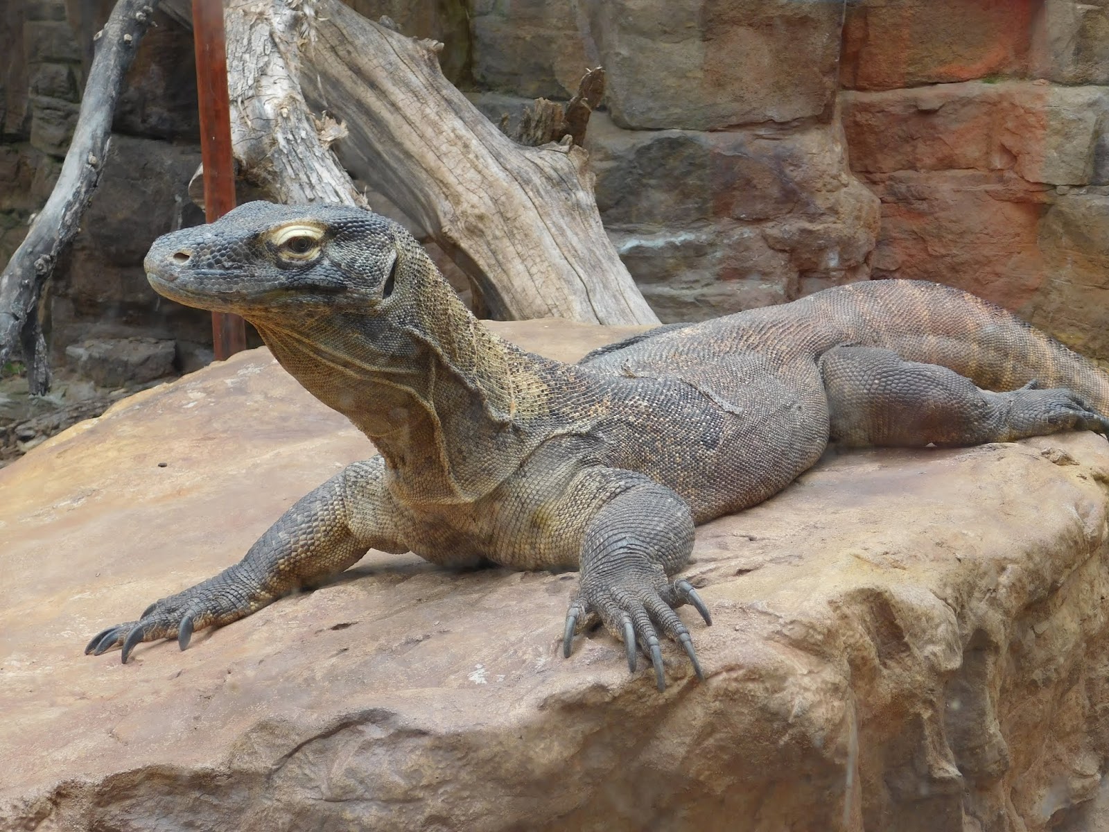 Reptile Gardens in Rapid City, South Dakota