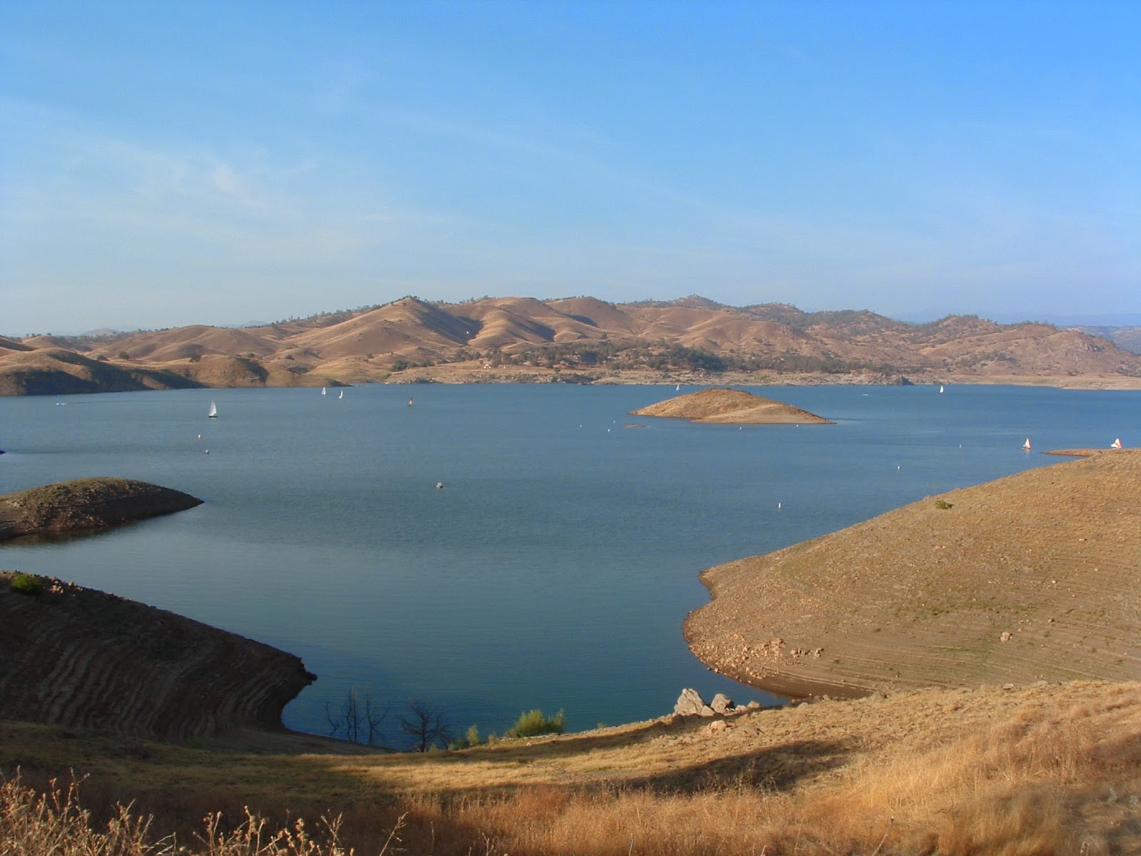 Giant Catfish in Fresno County's Millerton Lake? Weird Fresno