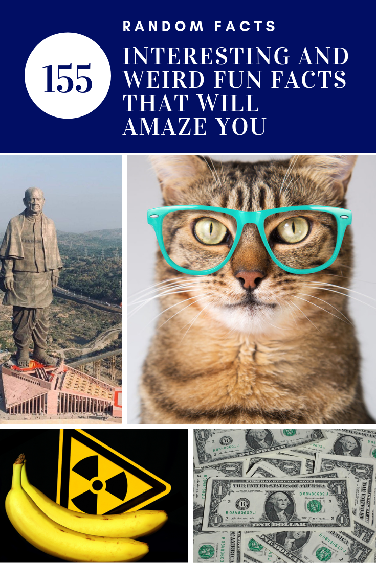 Top 155 Interesting and Weird Fun Facts (That Will Amaze You) Amazing