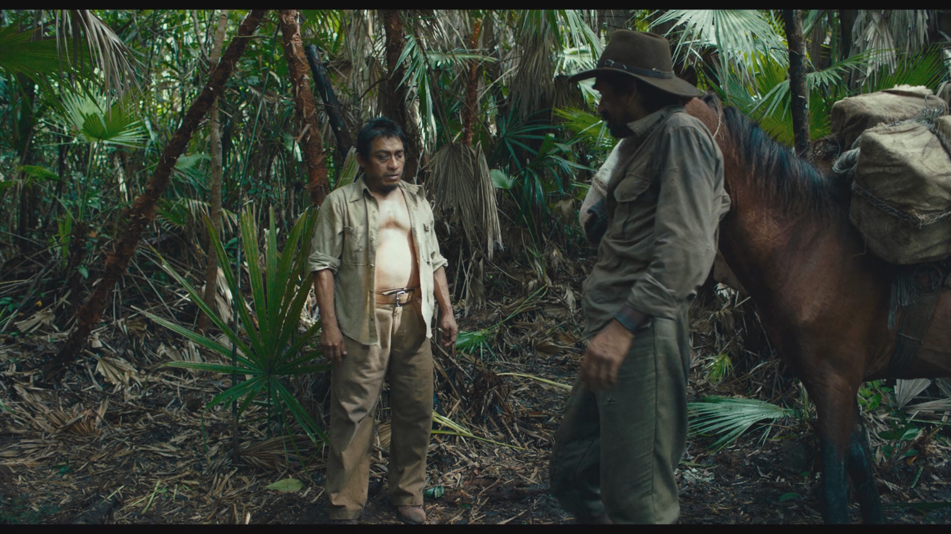 Selva Trágica 2020 HD 1080p Latino 3