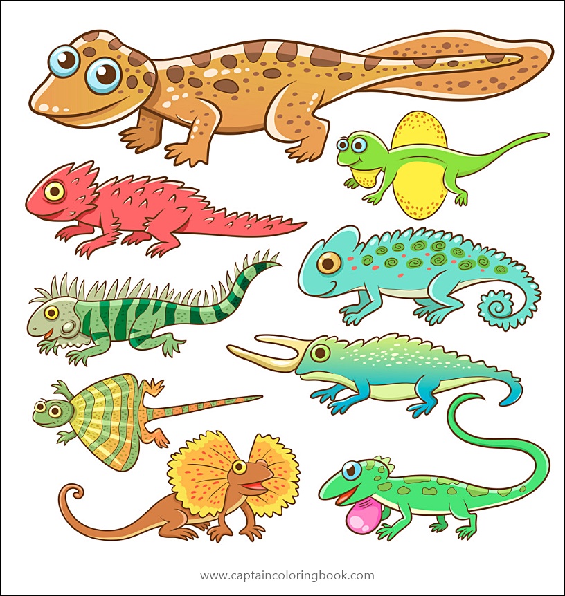 Coloring book pdf download