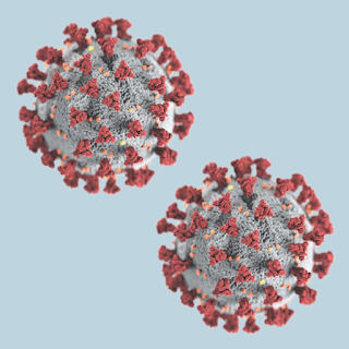Dá se koronavirus chytnout dvakrát?